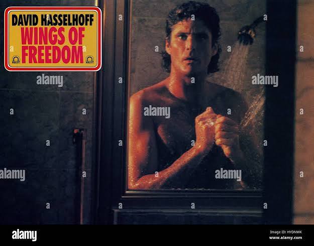W.B., Blue And The Bean, aka: WIngs Of Freedom, aka: Hasselhoff haut drauf,  USA 1989, Regie: Max Kleven, Darsteller: David Hasselhoff Stock Photo -  Alamy
