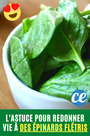 Epingle Sur Alimentation