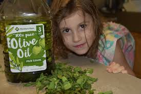 Broad-leaf plantains in the garden