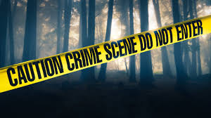 Check spelling or type a new query. Suspenseful Tension Background Crime Scene Investigation Music Royalty Free Youtube