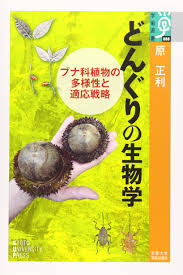 どんぐりの生物学 ブナ科植物の多様性と適応戦略 学術選書 正利 原 本 通販 Amazon