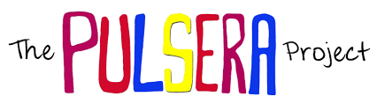 Image result for pulsera project