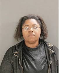 ᐅ Illinois Criminal Records 2009-2026