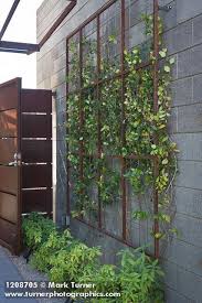 Check spelling or type a new query. 48 Metal Trellis Ideas Metal Trellis Trellis Garden Design