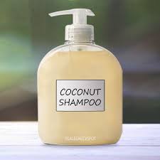 The best recipes for this type of hair have honey and milk. Diy All Natural Coconut Milk Shampoo For Dry Hair And Faster Hair Growth Natural Shampoo Natural Shampoo Recipes Shampoo Recipe