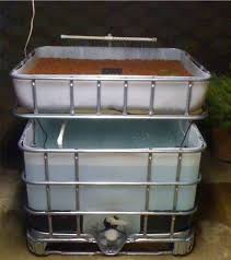 Aquaponics System Grow Plants Above Raise Tilapia Below Aquaponie Bassin A Poisson Hydroponique