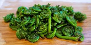Cara menggambar dan mewarnai aneka sayuran untuk. 10 Manfaat Sayur Pakis Untuk Kesehatan Imuslim