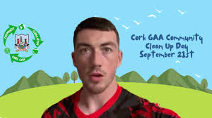 All Ireland Hurling Final 1976 Cork v Wexford