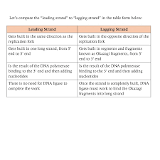 Leading & Lagging Synthesis