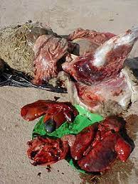 Why collecting and documenting data is key to the incident postmortem process. Autopsy Wikipedia