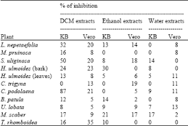 Image result for Cogniauxia podolaena