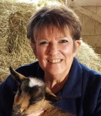 Deborah Kathleen "Deb" Sexton Obituary (2024)