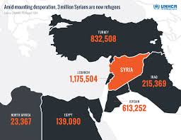 United Nations Nearly Half The Syrian Population Now