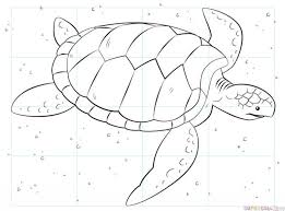 How To Draw A Sea Turtle Step By Step Drawing Tutorials For Kids And Beginners Turtle Drawing Sea Turtle Drawing Drawing Tutorial