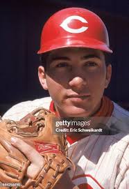 479 Eric Schweikardt Stock Photos, High-Res Pictures, and Images