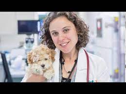 That's where we come in, we have found a way to put your favorite vet in your. 2020 All Star Rookie Of The Year 1st Pet Veterinary Centers Youtube
