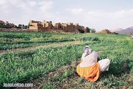 Photo Of Girl Working On The Fields Of Tamtettoucht In The Atlas Mountains Morocco Morocco Africa Travel Purpose Of Travel