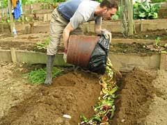 Check spelling or type a new query. How To Compost Food Scraps Garden Compost Composting Food Scraps