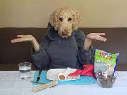 Dog with human hands photoshop. Bored Dog Owners During Covid 19 Social Isolation Are Creating Dogs With Human Hands