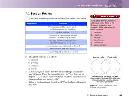 Show this video on youtube that overviews the similarities and differences between plant and animal cells. 7 2 Cells A Look Inside Pdf Free Download