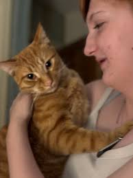 Little Jellycat bunny found in Trinity Leeds yesterday afternoon about 3:30 