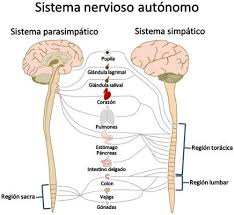 Pin En Cuidados Intensivos
