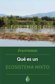 Para comenzar, echémosle un vistazo a la palabra que lleva en si pistas para entender el significado. Que Es Un Ecosistema Mixto Sus Caracteristicas Y Tipos Ecosistemas Tipos De Ecosistemas El Ecosistema Terrestre