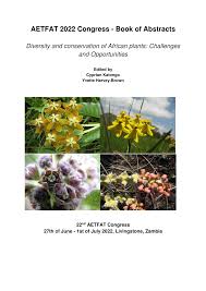 Image result for Chlorophytum calyptrocarpum