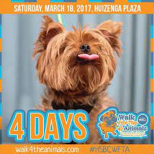 The Walk For The Animals Is So Close We Can Practically Taste It Thanks Littles Photography For This Adorable Pic An Animals Humane Society Animal Photography
