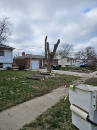 Gary here, representing Rexroad Tree Service. Looking for some job  opportunities to sustain my family (wife & three children). Kindly request  a free estimation by calling 402-215-1277.