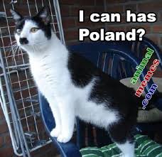 Image result for Animal Meme