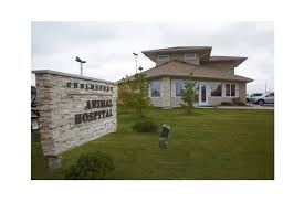 Chelmsford Animal Hospital