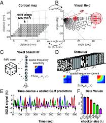 The bugfixes and new features in version 1.1 are now. Visual Field Backprojection Of Fmri Voxels Rf Modeling Approach And Download Scientific Diagram