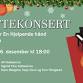 Støttekonsert for En Hjelpende hånd Fjellregionen event image
