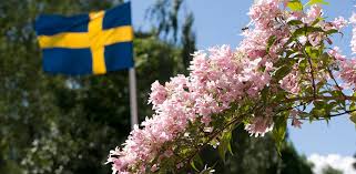 Tittar man lite historiskt sett, så kom den svenska nationaldagen till efter inspiration från våra grannländer , norge och danmark, så då firade ordentligt den 17 maj respektive. Nationaldagen Ronneby Se
