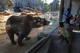 Grizzly Ridge Riverbanks Zoo And Garden Columbia South Carolina Usa Riverbank Zoo Bear Zoo Zoo Animals