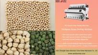 AMD Color Sorter/Sortex Machine for Chickpeas Sorting and Extracting