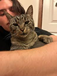 This is my pretty girl Arthur. She made a nice home