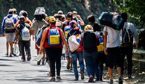 ¿quiénes deberán hacer el registro? Yw9zs Qk4veyym