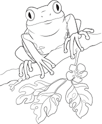 Lineart Frogs Google Search Frog Coloring Pages Animal Coloring Pages Coloring Pages