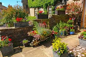 We did not find results for: Butterfly Gardening In Containers Enjoy Container Gardening