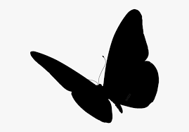 Maybe you would like to learn more about one of these? Butterfly Wings Png Image With Transparent Background Butterfly Silhouette Side View Png Download Transparent Png Image Pngitem