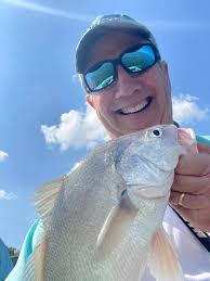 When does the white bass/wiper run start and end at Harlan?