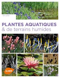 Maybe you would like to learn more about one of these? Plantes Aquatiques Jardiland
