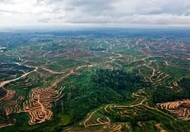 Bhd stock news by marketwatch. Palm Oil Pledge Unilever Cancels Its Contract With Ioi Group Over Deforestation Global Cosmetics News