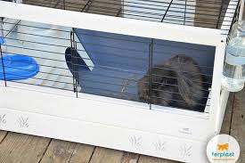 The longer camels go without eating or drinking, the more their humps deflate. Leaving The Rabbit At Home Alone Love Ferplast