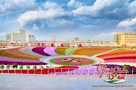 Dubai Miracle Garden 03 Miracle Garden Landscape Design Million Flowers