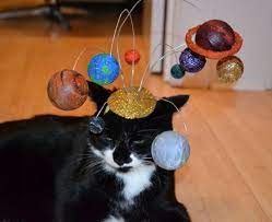 Cats Are Center Of The Universe Solar System Cat Fascinator Etsy Etsy Cats Cats Cat Hat