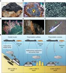 Manganese is an essential element for modern industrial societies. Challenges To The Sustainability Of Deep Seabed Mining Nature Sustainability