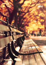 Planete Interdite Photographie De L Automne